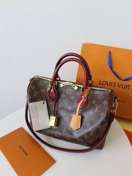 Сумка Louis Vuitton Premium  2486 фото