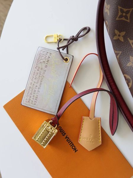 Сумка Louis Vuitton Premium  2486 фото