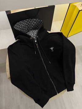 Худі Dior 6008 фото