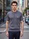 Футболка Ralph Lauren polo  2737 фото 1