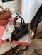 Сумка Miu Miu   4359 фото 2