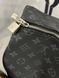 Сумка Louis Vuitton big size 103.0 фото 14